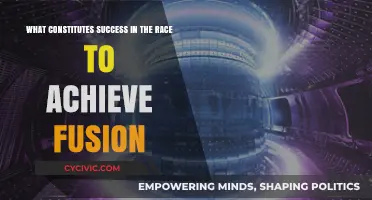 Fusion's Future: Defining Success in the Race to Innovation