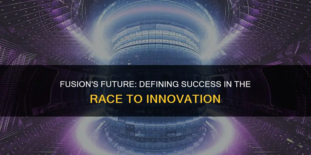 what constitutes success in the race to achieve fusion