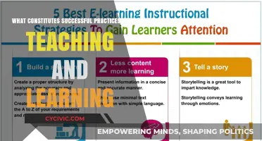 Teaching and Learning: Strategies for Success