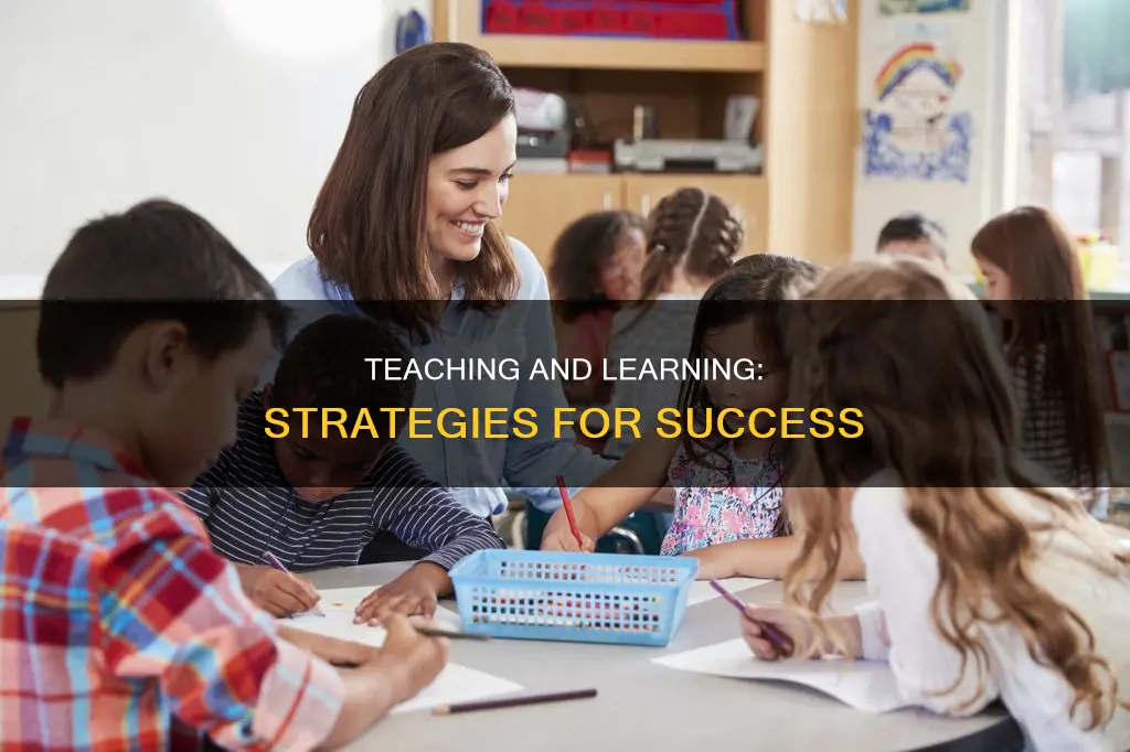 what constitutes successful practices of teaching and learning