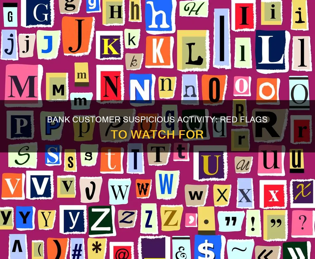 what constitutes suspicious activity for a bank customer