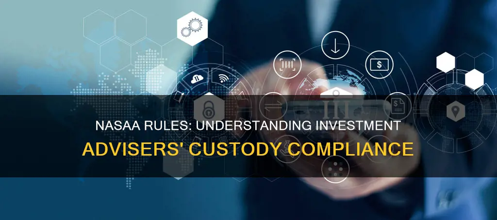what constitutes taking custody under nasaa rules for investment advisers