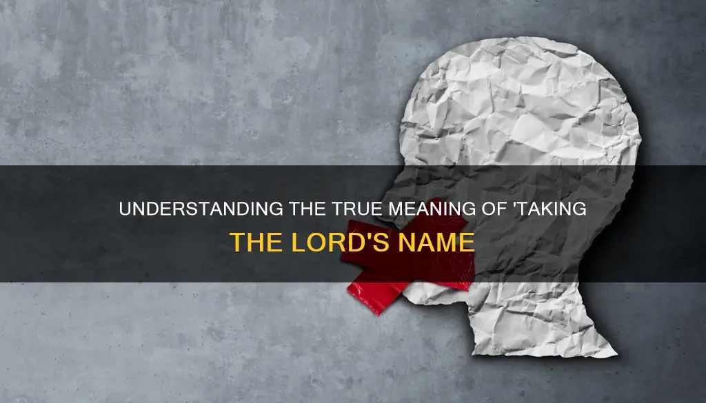 what constitutes taking the lord