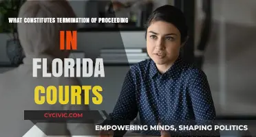 Florida Court Proceedings: When Does Termination Occur?