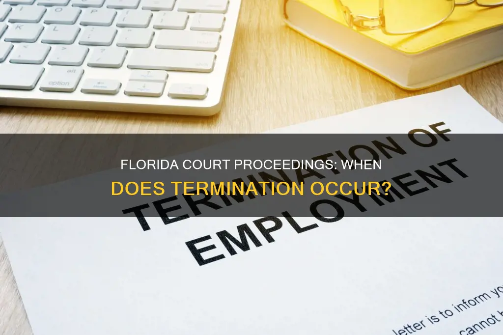 what constitutes termination of proceeding in florida courts