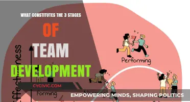 Team Evolution: 3 Stages of Development and Growth