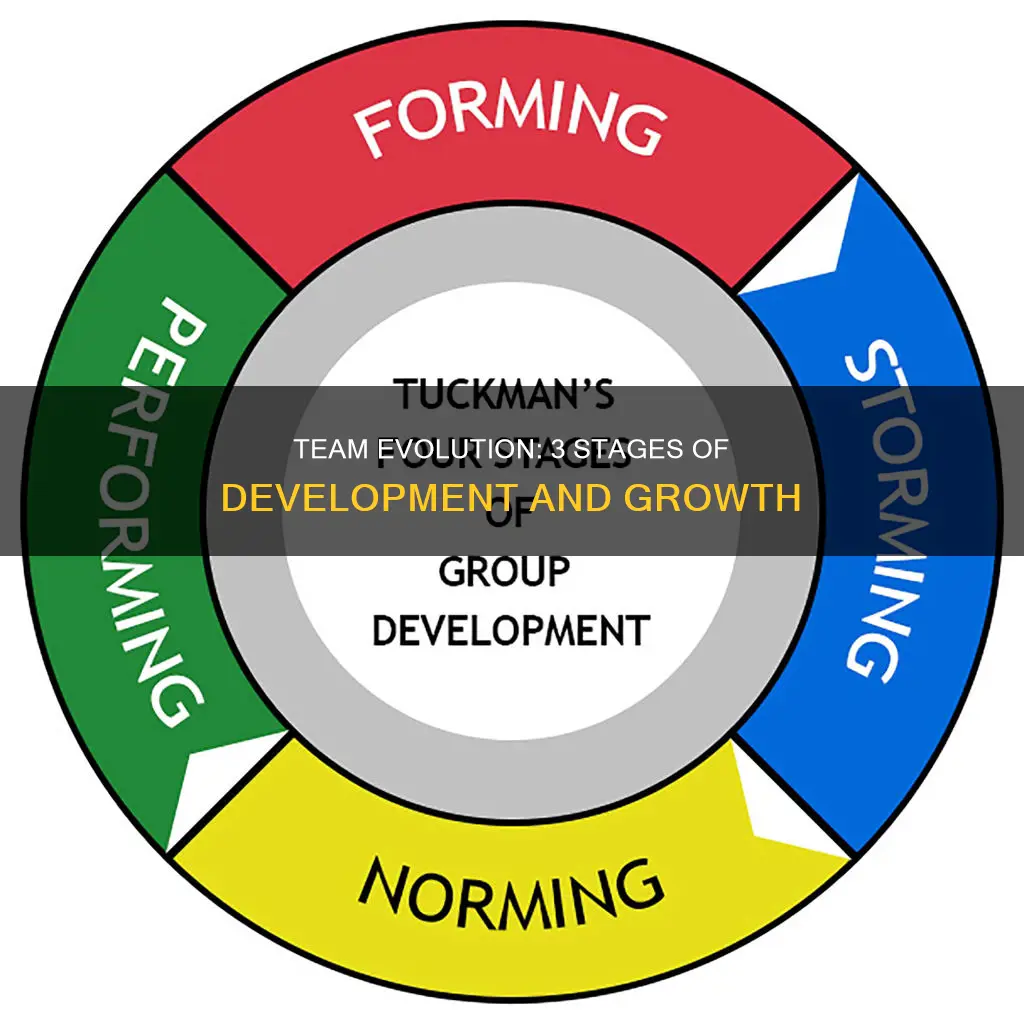 what constitutes the 3 stages of team development