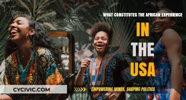 African Experience in the USA: Culture, Challenges, and Community
