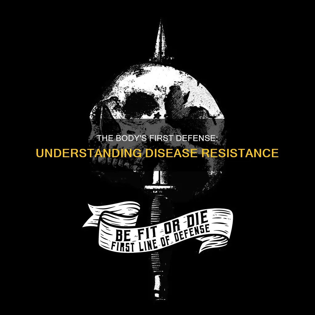 what constitutes the body