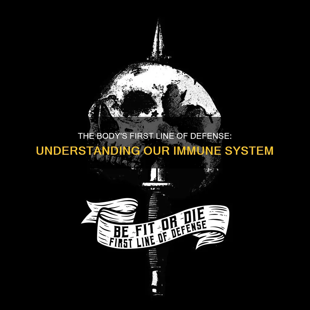 what constitutes the body