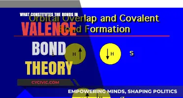 The Nature of Bonds in Valence Bond Theory