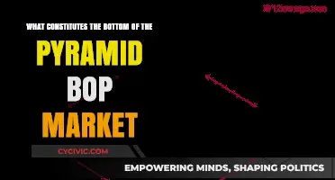 Understanding the Bottom of the Pyramid Market