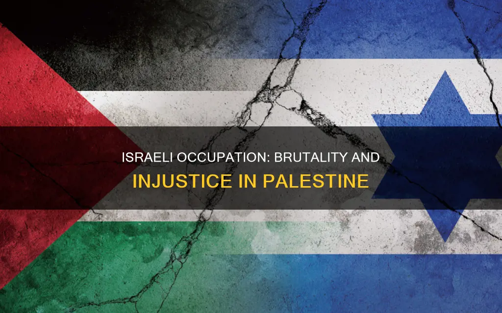 what constitutes the brutality of israeli occupation of palestine