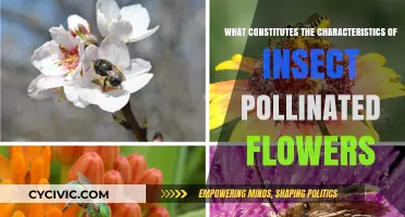 Pollinator-Friendly Flowers: Nature's Intricate Design