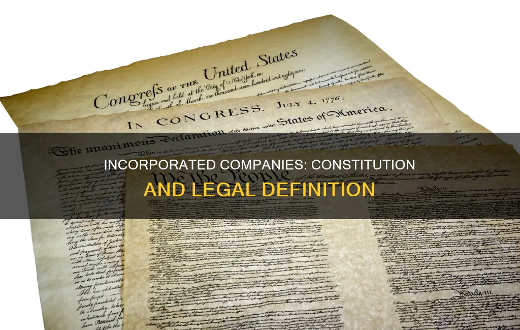 what constitutes the constitution of an incorporated company