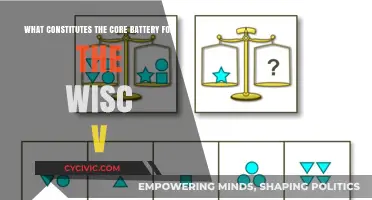 WISC-V Core Subtests: Understanding the Fundamentals