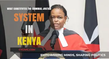 Kenya's Criminal Justice System: Understanding the Basics