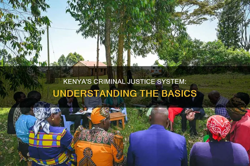 what constitutes the criminal justice system in kenya