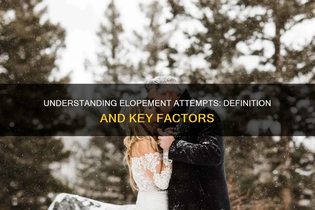 what constitutes the definition of an attempted elopement