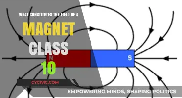 Magnetism Basics: Understanding Fields and Forces