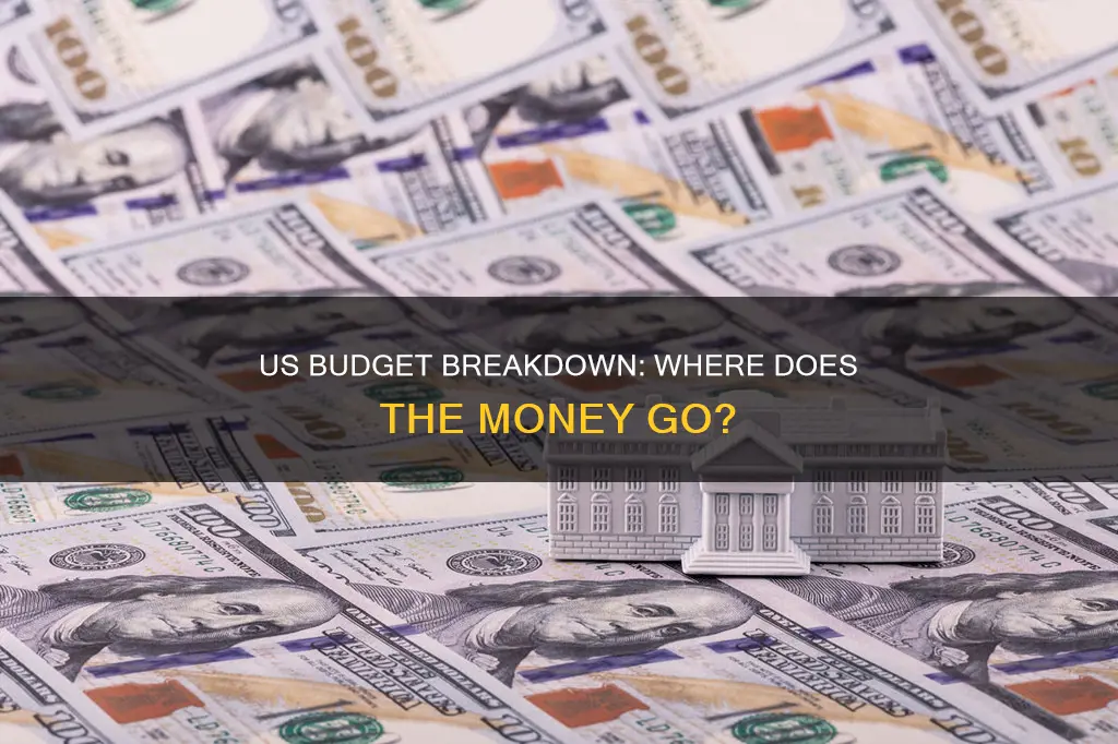 what constitutes the general budget of the us