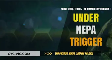 Human Environment: NEPA's Trigger for Action