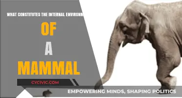 The Intricate Internal Environment of Mammals