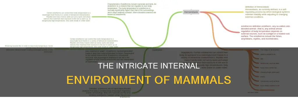 what constitutes the internal environment of a mammal
