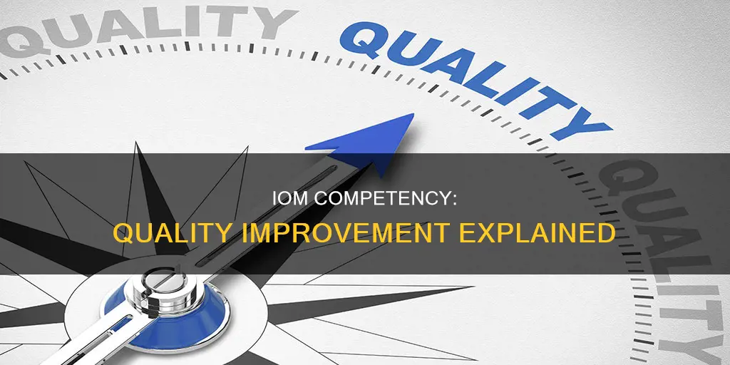 what constitutes the iom competency of quality improvement