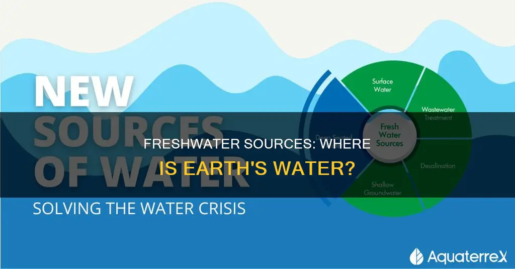 what constitutes the largest amount of freshwater resources on earth