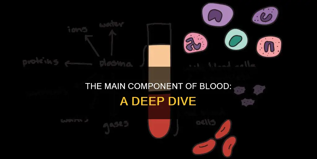 what constitutes the largest portion of the blood