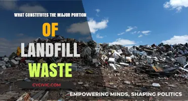 Landfill Waste: What's Taking Up Space?
