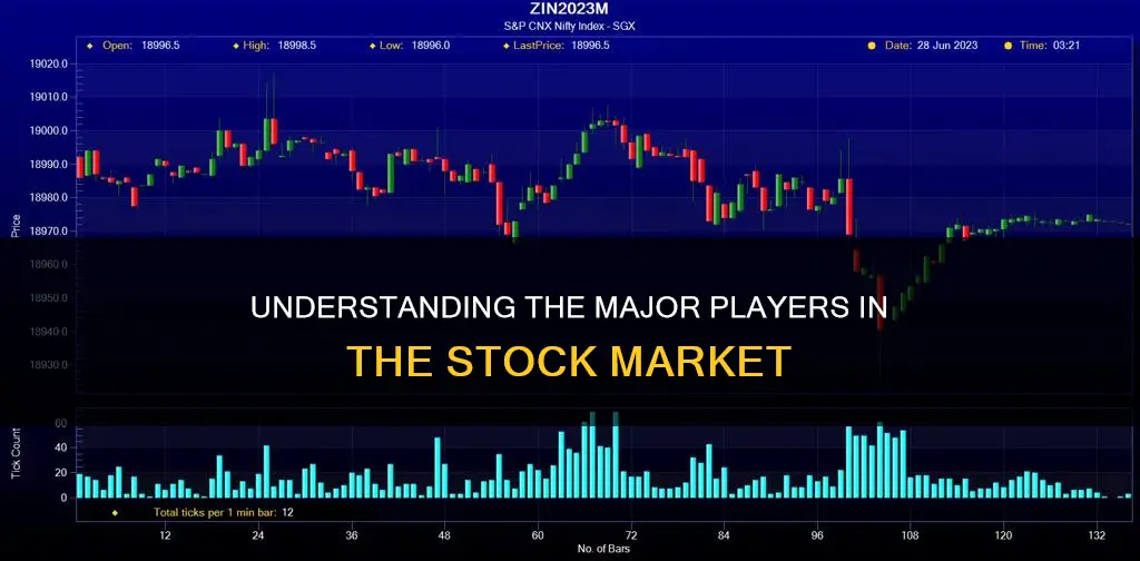 what constitutes the major portion of the stock market