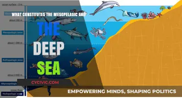 Exploring the Mesopelagic and Deep Sea: Understanding the Unknown