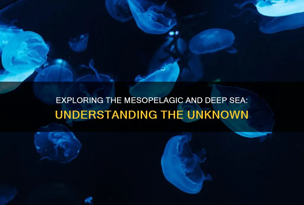 what constitutes the mesopelagic and the deep sea
