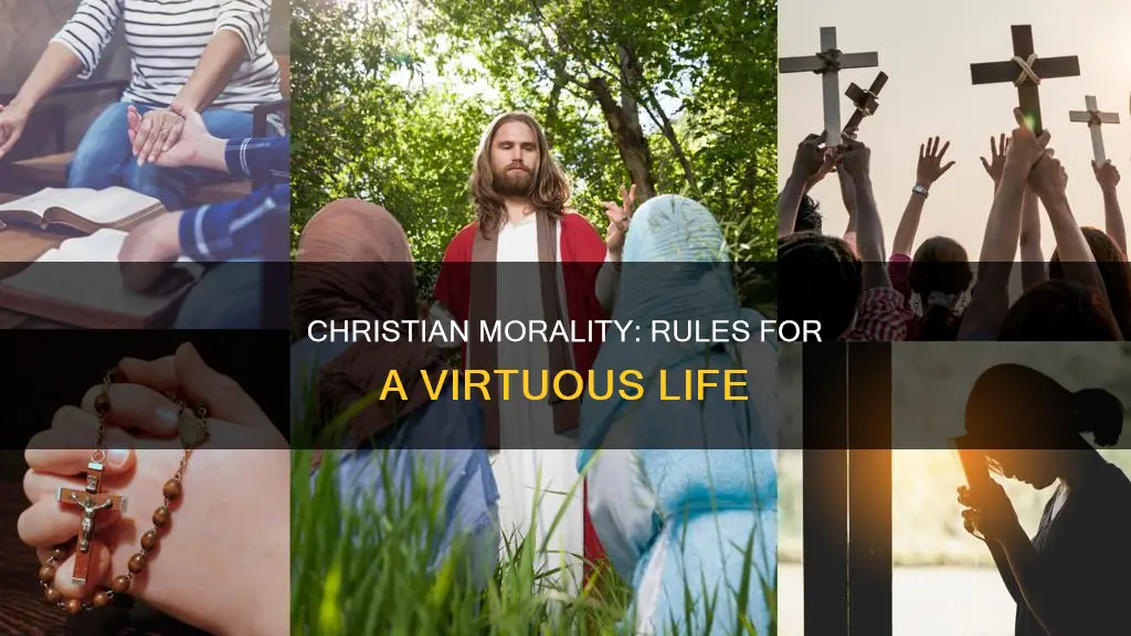 what constitutes the moral rule of christian life