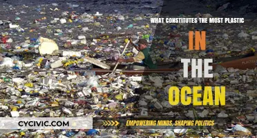 Plastic Sources: Ocean Pollution's Main Culprits