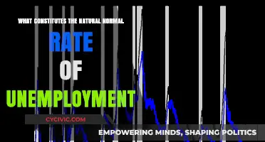 Understanding the Natural Rate of Unemployment