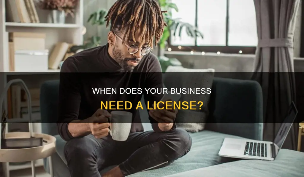 what constitutes the need for a business license