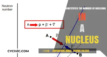 The Core of Nuclei: Counting Nucleons