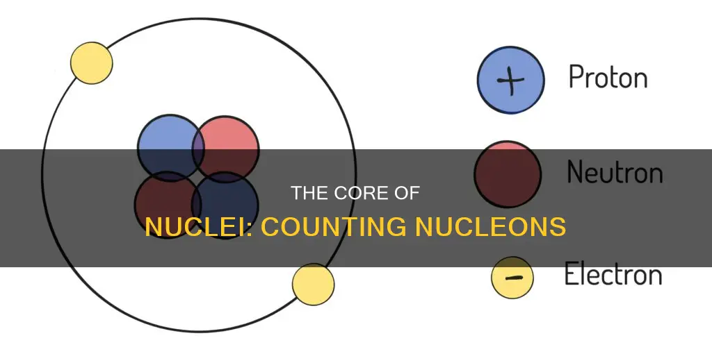 what constitutes the number of nucleons in a nucleus