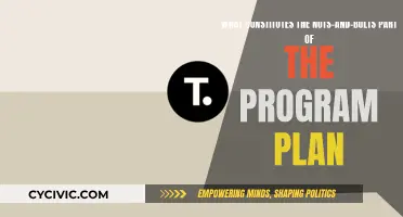 The Nuts-and-Bolts of a Successful Program Plan