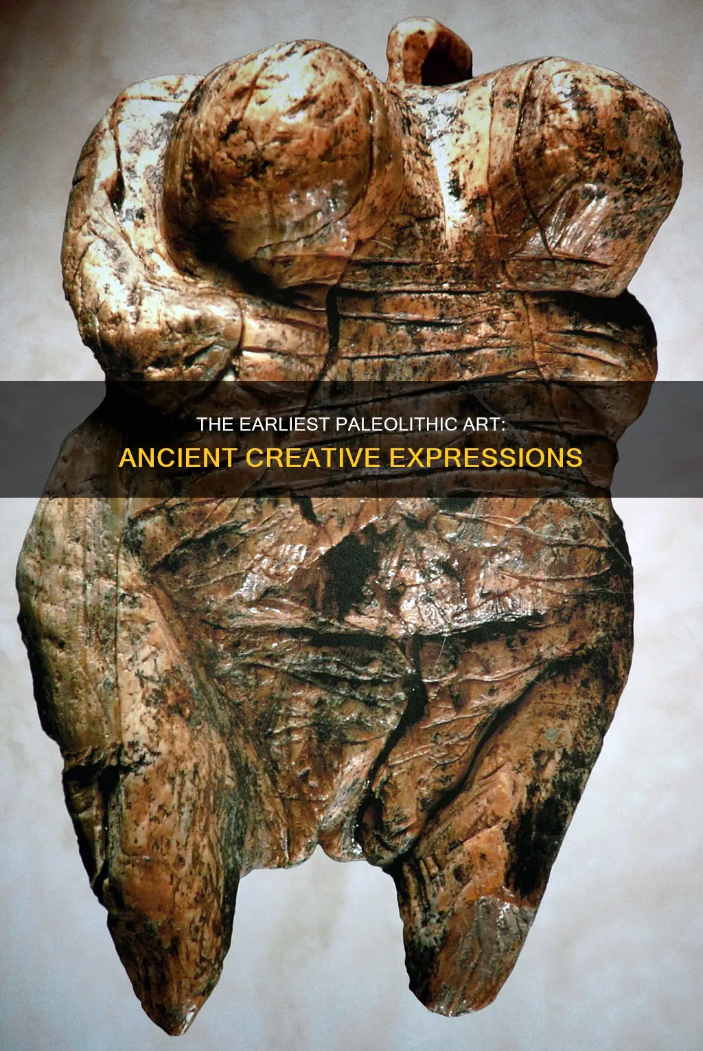 what constitutes the oldest examples of paleolithic art