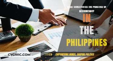 Philippine Accountancy: Understanding the Practice