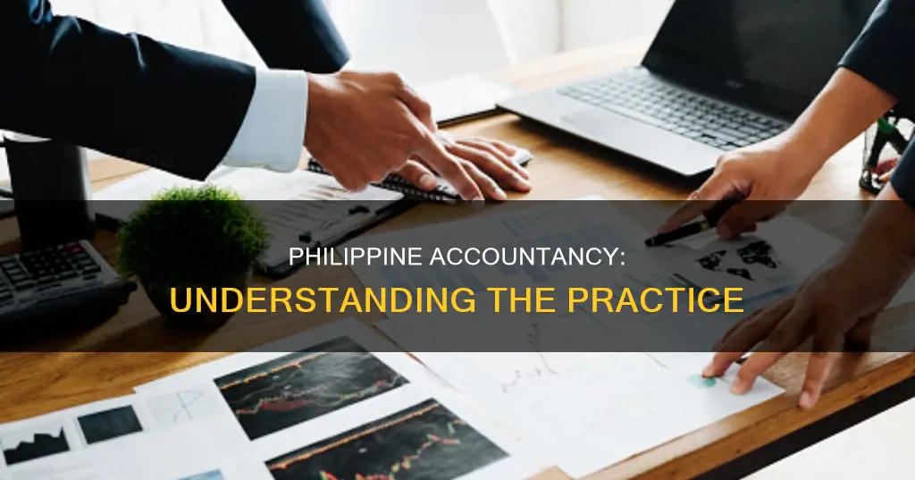 what constitutes the practice of accountancy in the philippines