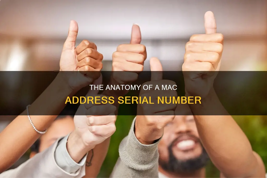 what constitutes the serial number portion of the mac address