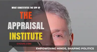 SPP of the Appraisal Institute: Standards, Scope, and Principles