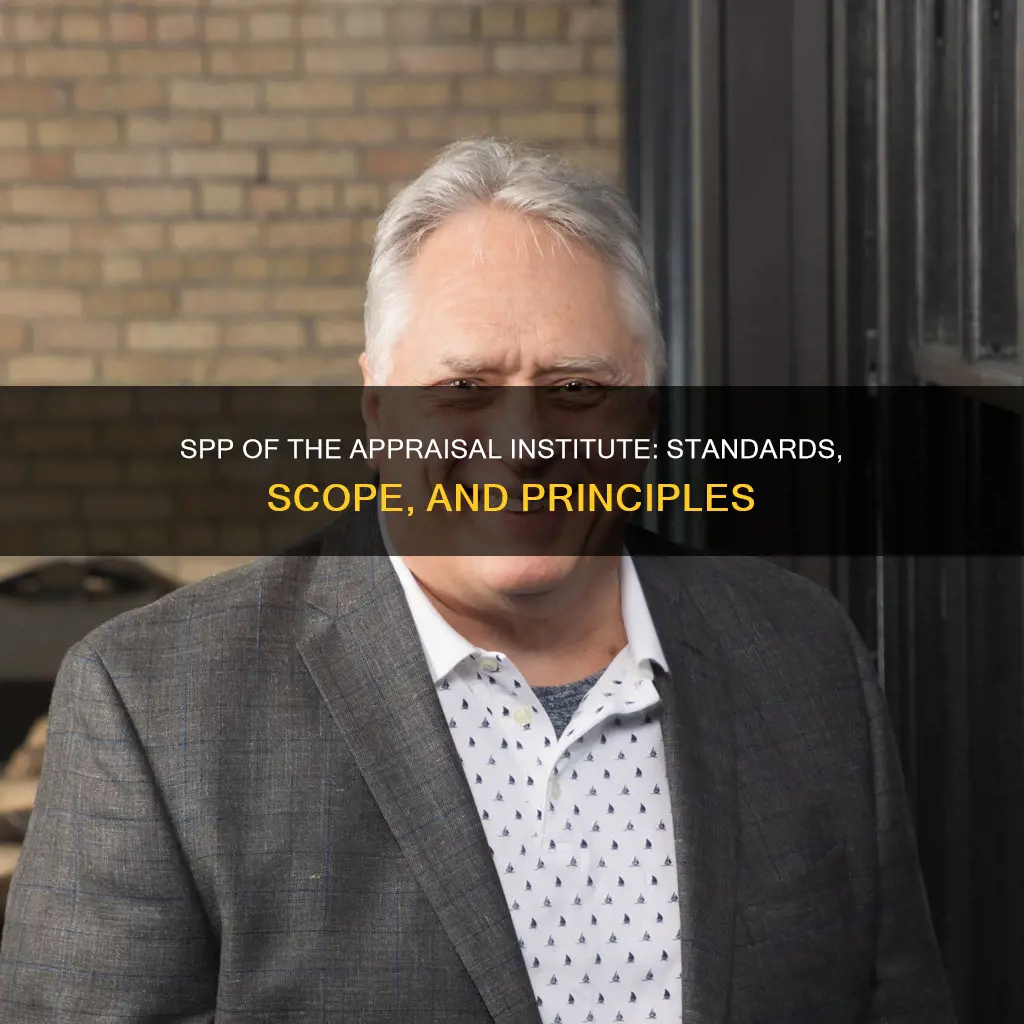 what constitutes the spp of the appraisal institute