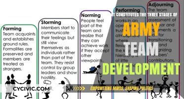 Army Team Development: 3 Stages to Success