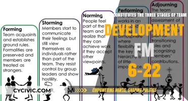Team Development: 3 Stages to Success